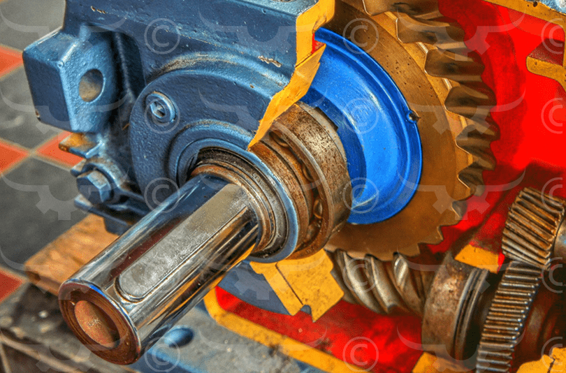 Inside Industrial Gearbox Assembly Houston Pump and Gear